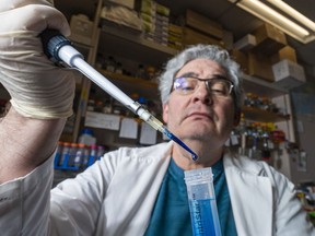 Prof. Horacio Bach, an infectious disease expert, researcher and adjunct professor at the University of B.C., pipettes a liquid into a test tube while working in his lab in Vancouver on Dec. 29.