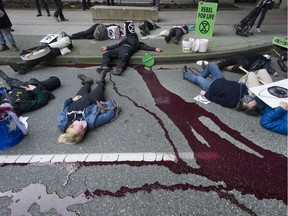 Vancouver, BC: FEBRUARY 27, 2021 -- Several dozen people attend an Extinction Rebellion Vancouver demonstration in downtown Vancouver, BC Saturday, February 27, 2021 to protest inaction on the environmental issues. The group marched to BC Supreme Court and staged a mock die-in, complete with fake blood. (Photo by Jason Payne/ PNG) (For story by Tiffany Crawford) ORG XMIT: environmentalprotest [PNG Merlin Archive]