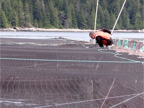 A salmon farmer is pictured at a farm north of B.C.'s Discovery Islands. Dharm Makwana/The Province