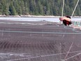 A salmon farmer is pictured at a farm north of B.C.’s Discovery Islands.