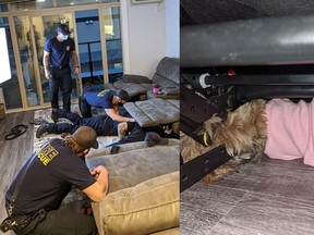 Kamloops Fire Department was called out to assist in the extraction of a dog that became trapped in the mechanism of a reclining couch on Wednesday evening.