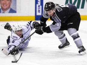 Tristen Nielsen of the Vancouver Giants wins the battle for puck possession despite the best efforts of a diving Mitch Prowse of the Victoria Royals. The Giants beat the Royals 2-1.