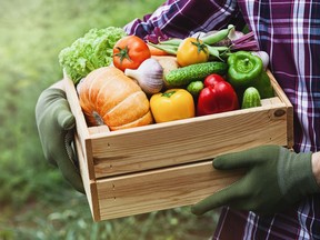 Be sure to plant the vegetables you most like to eat.