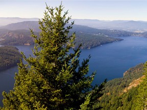 Raincoast Conservation Foundation submitted a document reminding the Islands Trust that there is no place for a pro-development, urban planning approach in the Gulf Islands, which by definition are rural and by law were intended to be protected and managed for ecological and conservation value above all else.