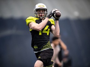 Benjamin Plu is the only Global Player still on the BC Lions roster. They have the No. 1 pick in the upcoming Global Draft.