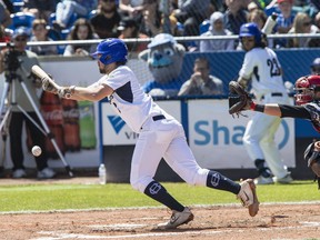 Victoria HarbourCats' Tanner Haney lays down a bunt against the Bend Elks at Wilson's Group Stadium in Victoria on June 19, 2019.