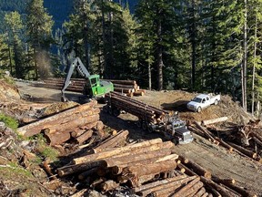 A timber harvesting operation in steep slope mountainous terrain on B.C.’s coast.