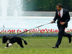 U.S. President Barack Obama runs with his new pet dog Bo, a six-month old male Portuguese water dog, on the South Lawn at the White House in Washington, April 14, 2009.
