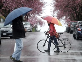 Heavy rain is coming for most parts of the Lower Mainland starting late Wednesday. (NICK PROCAYLO/PostMedia)