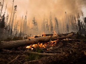 The wildfires in British Columbia turned a red-hot spotlight on the risks of fire and smoke damage for commercial and residential properties.