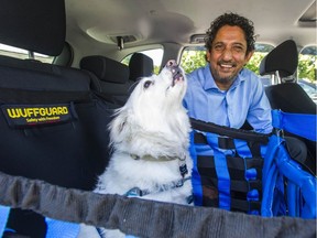 Kurban Malik with his dog MoMo in North Vancouver on Tuesday. Momo is seated inside a Wuffguard car seat Malik designed for small- and medium-sized dogs after surviving a serious car accident.
