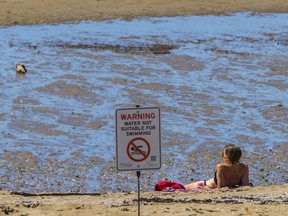 English Bay Beach has been closed due to high e-Coli levels.