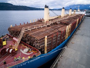 A ship loaded with raw logs sits docked in Port Alberni.