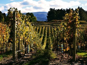 Spearhead winemaker Grant Stanley is an intense, entertaining fellow who pushes the boundaries searching for electric Chardonnay and Pinot Noir. Try them all as you overlook the city of Kelowna and Lake Okanagan from its spectacular site.