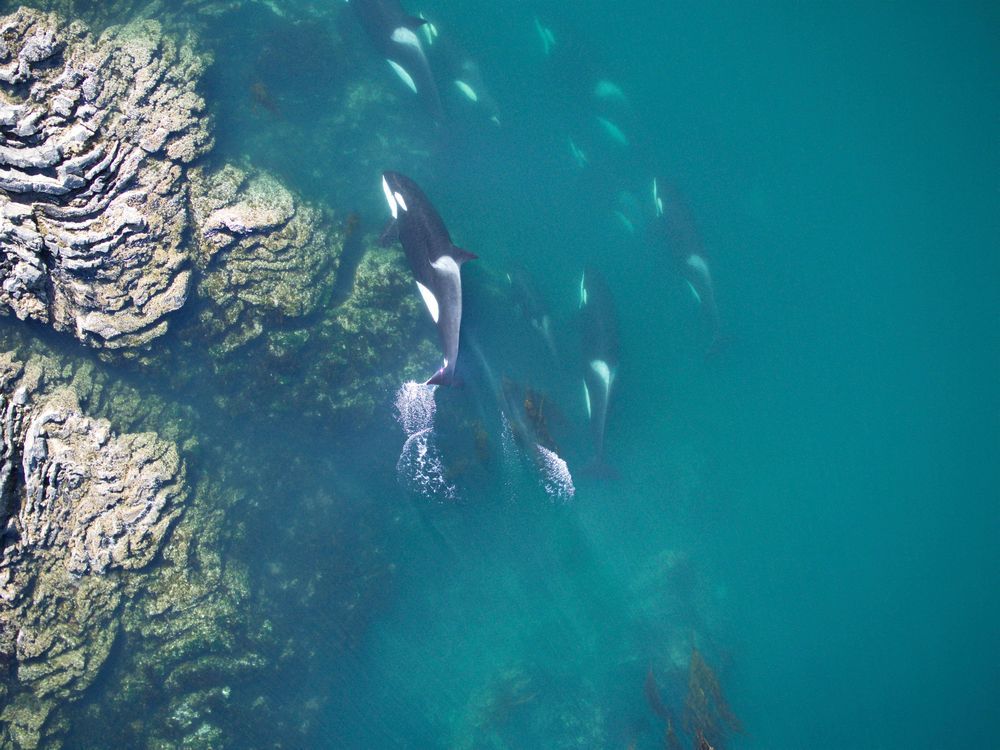 Opinion Nitrous oxide, a powerful greenhouse gas, is on the rise from