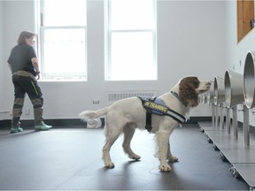 Pictured is Teresa Zurberg, canine scent detection specialist at VCH with COVID-19 detection dog Finn.