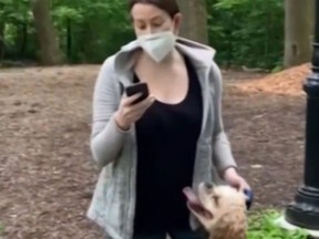 Amy Cooper was caught on video calling police to say she felt threatened by an African-American man who asked her politely to leash her dog in New York’s Central Park.
