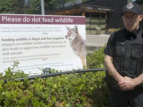 Signs in Stanley Park warn of aggressive coyotes.
