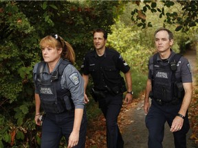 Saanich Police animal control officers Susan Ryan and Derek Rees with Det.-Sgt. Damian Kowalewich (Centre) along a trail in Swan Lake in Saanich. Saanich police is the only B.C. department to employ its own animal control officers as the district has put down more animals than any other department in B.C., primarily deer hit by vehicles. It has a track record of killing them humanely.
