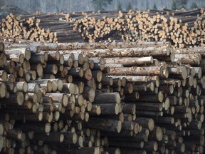 Softwood lumber is pictured at Tolko Industries in Heffley Creek, B.C., Sunday, April, 1, 2018.