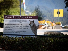 A sign warning people not to feed wildlife is seen at Stanley Park after numerous people have been attacked by coyotes