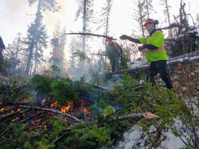 Last summer, as part of a pilot version of the Youth Climate Corps, 14 crew members under 30 spent four months protecting Nelson's water pipeline from wildfire, boosting local food security, restoring riparian ecosystems, enhancing energy efficiency, and engaging community members and local leaders.
