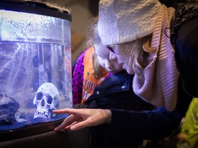 Spoo-ook-tacular Halloween - Britannia Mine Museum Enjoy family-friendly activities that focus on 'scary' science.