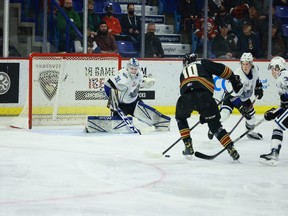 Zack Ostapchuk of the Vancouver Giants tries to beat Victoria Royals netminder Tyler Palmer Saturday at the Langley Events Centre.