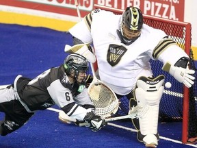 The Calgary Roughnecks' Tyler Pace dives looking for a goal against Vancouver Warriors goalkeeper Alex Buque during the Roughnecks Preview Party at WestJet Field in Calgary.