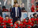 Jeremy Colliton has gone from youngest NHL coach and running the Blackhawks bench to guiding the Abbotsford Canucks.
