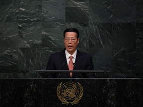 This file photo taken on April 22, 2016 shows China's Vice Premier Zhang Gaoli addressing the United Nations.