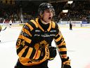 Vancouver Canucks prospect Linus Karlsson in Swedish Hockey League action this season for Skelleftea AIK.
