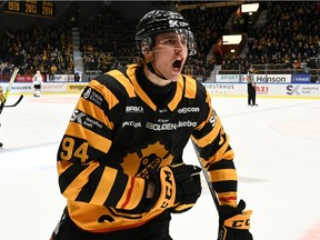 Canucks prospect Linus Karlsson surpassed Elias Pettersson's record last season for goals by a Swedish Hockey League rookie.