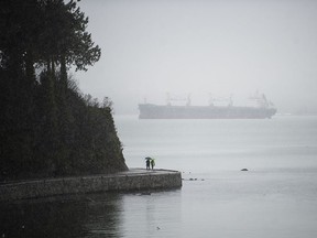 A view of the Stanley Park seawall near Third Beach in a recent file photo.