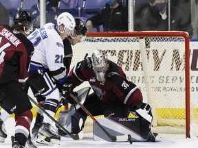 Vancouver Giants netminder Jesper Vikman battles to track down the puck in traffic against the Victoria Royals on Friday.