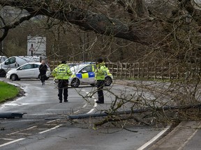 A fallen tree blocks a road in Tenby, Britain, February 18, 2022.