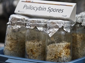 Jars of psilocybin spores are seen at RCMP headquarters in Edmonton, Alta., on Tuesday, April 23, 2013.