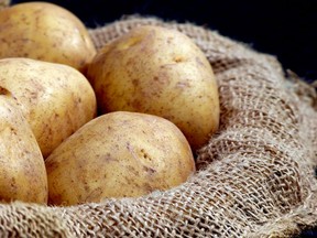 Potatoes grow and produce best in a sunny site with a fertile, humus-rich soil kept modestly moist.