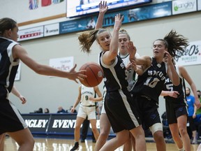 Langley Christian pull out late win over SMU to advance to Double A girls  hoops final