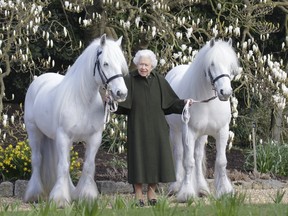 This new portrait of Queen Elizabeth II released by The Royal Windsor Horse Show to mark the occasion of her 96th birthday.