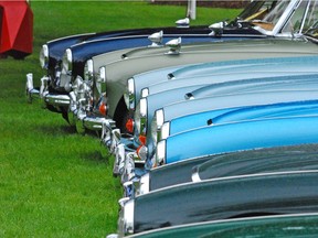 Austin Healey's all lined up at the Van Dusen Gardens All British Car Show.