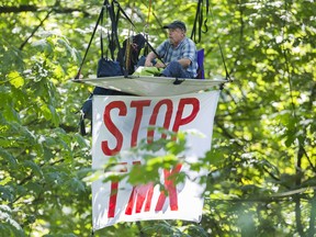 Public health physician and scientist Dr. Tim Takaro was arrested while quietly sitting in a tree earmarked for felling in the construction of TMX. He joins physician colleagues who have also committed such “crimes” while upholding the modern Hippocratic Oath to protect the health of our patients and the public