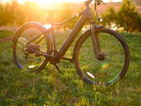 Make the most out of spring with the Rover E-Bike, available now at the Support and Buy Local Auction.
