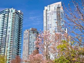 Trees in front of condo towers.