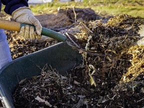 Before applying a mulch, make sure the target area is thoroughly and deeply moist.