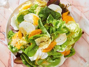 Martha's mango and mozzarella with young lettuces from Salad Freak.