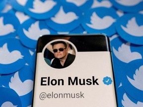 Elon Musk's Twitter profile.