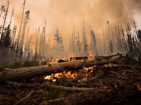 In 2018, emissions from wildfires in B.C. alone were three times greater than the entire province’s annual carbon output.