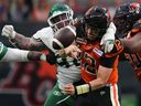 BC Lions quarterback Nathan Rourke is sacked by Saskatchewan Roughriders guard Garrett Marino and fumbles the ball during the first half of a CFL preseason football game in Vancouver, in British Columbia on Friday, June 3, 2022.
