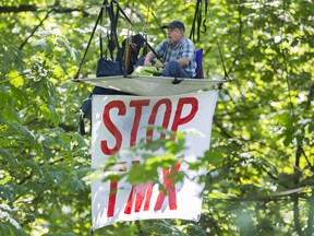 Dr. Tim Takaro sits among the trees suspended high above the ground off of North Road in Burnaby in August, 2020.